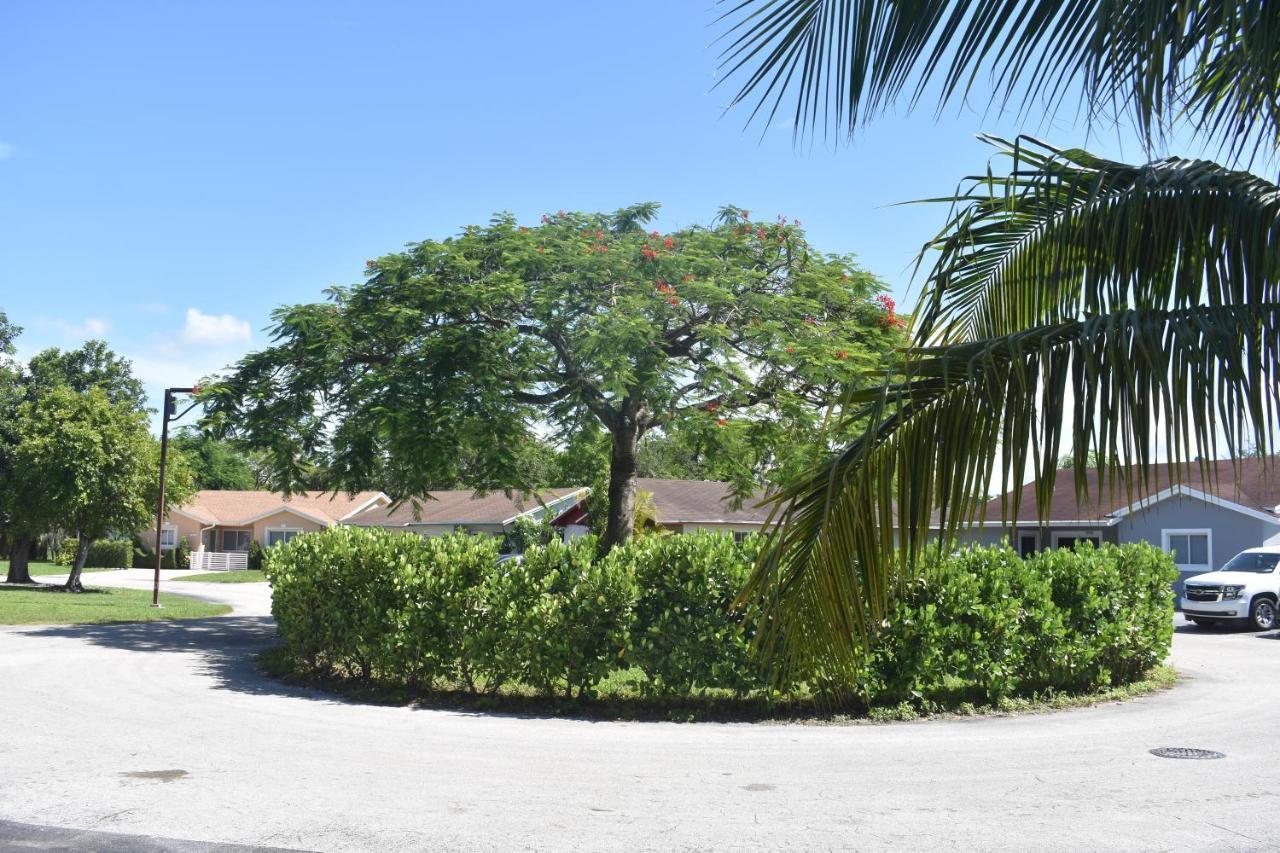 Miami Nice Apartment Ngoại thất bức ảnh