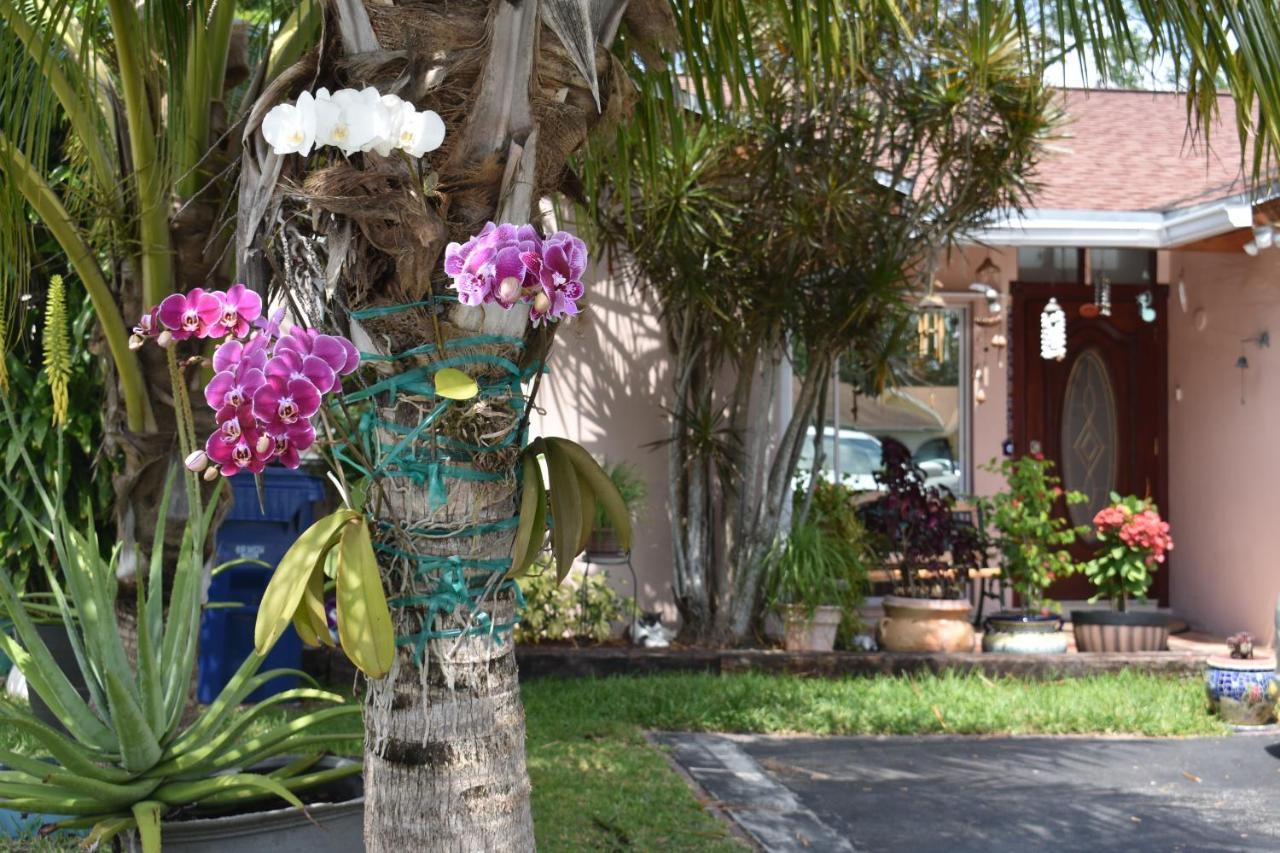 Miami Nice Apartment Ngoại thất bức ảnh