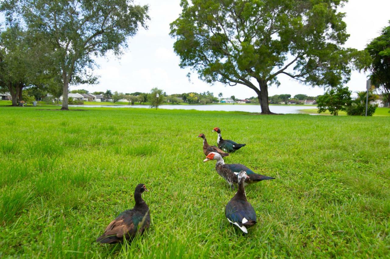Miami Nice Apartment Ngoại thất bức ảnh